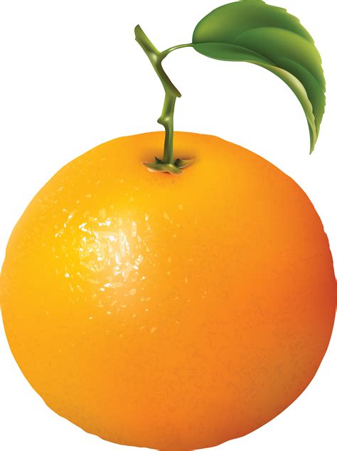 clip art orange